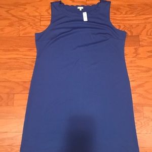 Talbots Scallop Trim Dress